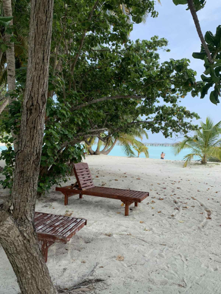 Мальдивы. Февраль 2021 самостоятельно на месяц.Sun Island Resort & Spa Мальдивы. Февраль 2021 самостоятельно на месяц.Sun Island Resort & Spa