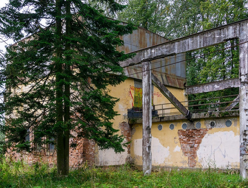 «Как я провёл этим летом» ©️ или неспешные прогулки по окрестностям Петербурга в ковидную годину