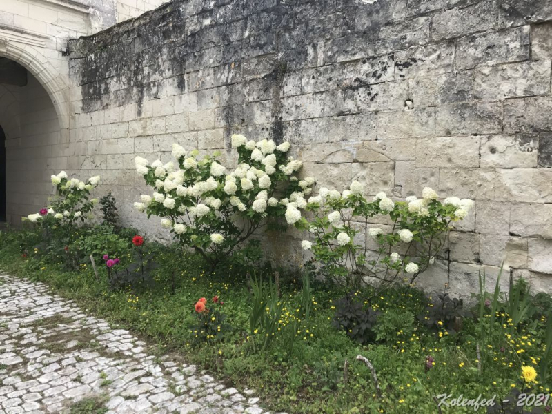 Ключевое слово: «вырвались» мы в Европу в 2021 году