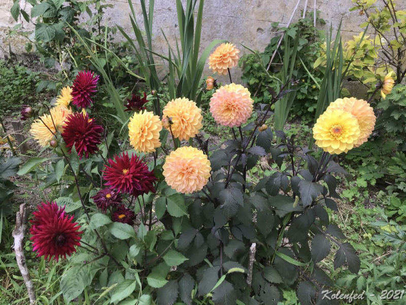 Ключевое слово: «вырвались» мы в Европу в 2021 году