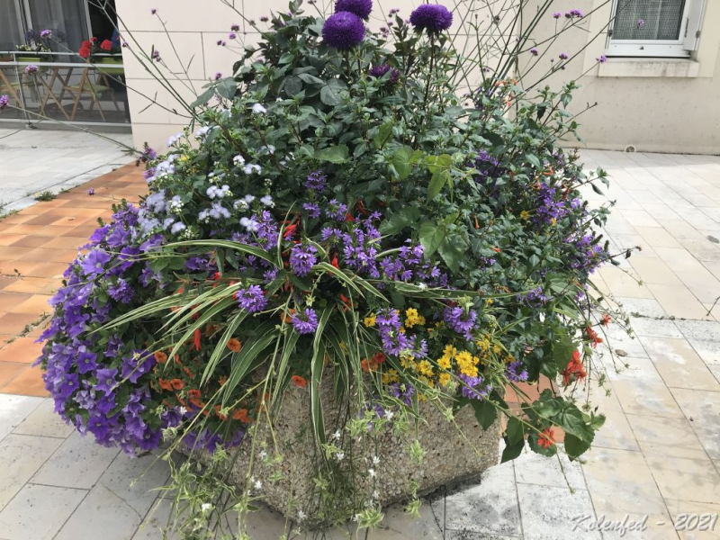 Ключевое слово: «вырвались» мы в Европу в 2021 году