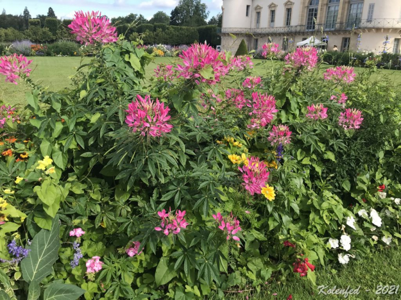 Ключевое слово: «вырвались» мы в Европу в 2021 году