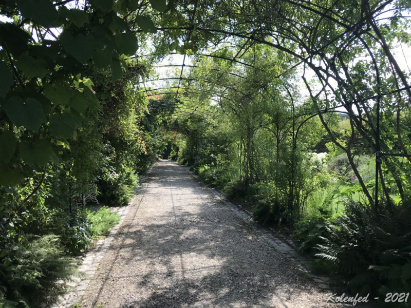 Ключевое слово: «вырвались» мы в Европу в 2021 году