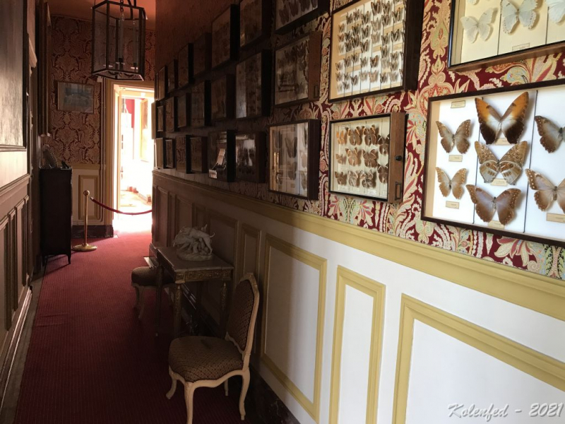 Ключевое слово: «вырвались» мы в Европу в 2021 году