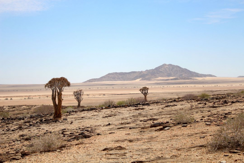 Enjoy Namibia или Намибия в ковидные времена (март 2021 г.)