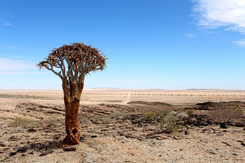 Enjoy Namibia или Намибия в ковидные времена (март 2021 г.)