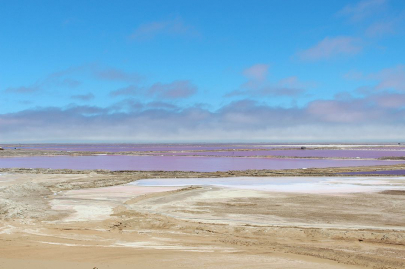 Enjoy Namibia или Намибия в ковидные времена (март 2021 г.)