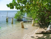 DSCF7084_новый размер.jpg