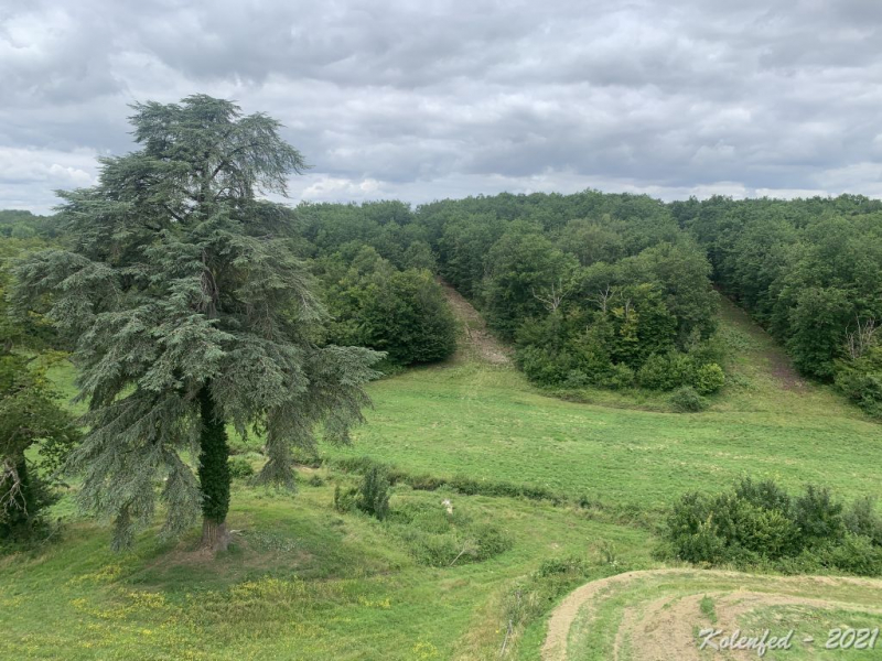 Ключевое слово: «вырвались» мы в Европу в 2021 году