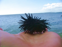 DSCF7098_новый размер.jpg