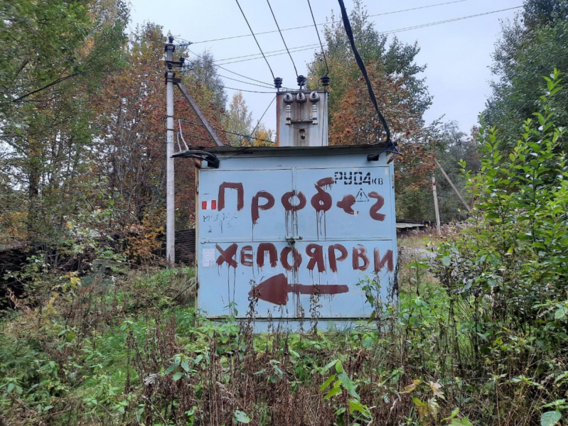 «Как я провёл этим летом» ©️ или неспешные прогулки по окрестностям Петербурга в ковидную годину