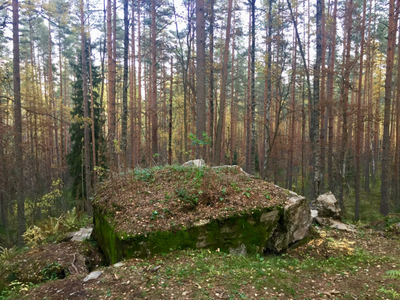 «Как я провёл этим летом» ©️ или неспешные прогулки по окрестностям Петербурга в ковидную годину