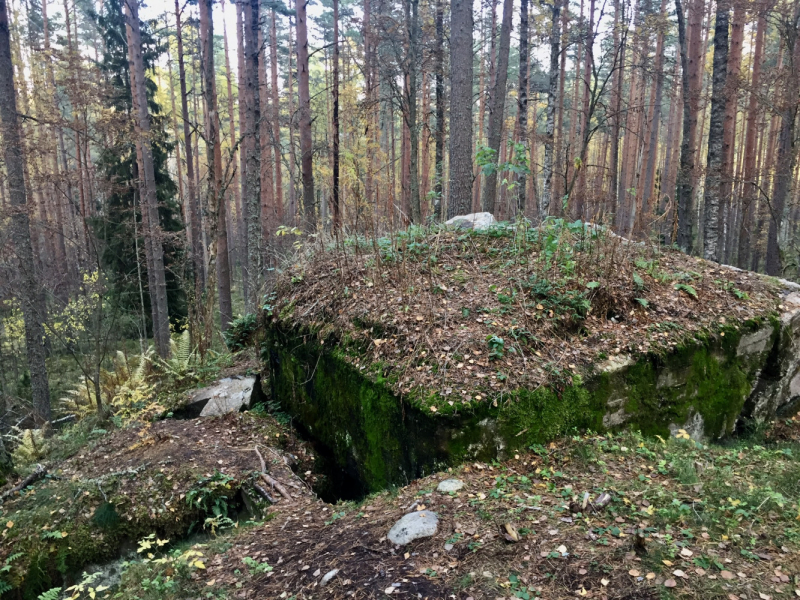 «Как я провёл этим летом» ©️ или неспешные прогулки по окрестностям Петербурга в ковидную годину