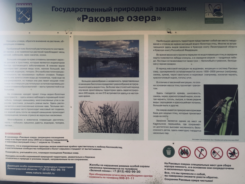 «Как я провёл этим летом» ©️ или неспешные прогулки по окрестностям Петербурга в ковидную годину