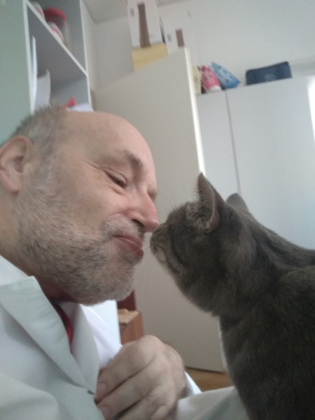 Кошки в нашей жизни. Кошки и все, что с ними связано.