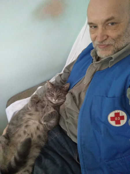 Кошки в нашей жизни. Кошки и все, что с ними связано.