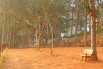 Вьетнам, февраль 2012. Отчет + Фото )