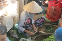 Вьетнам, февраль 2012. Отчет + Фото )