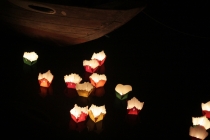 Вьетнам, февраль 2012. Отчет + Фото )