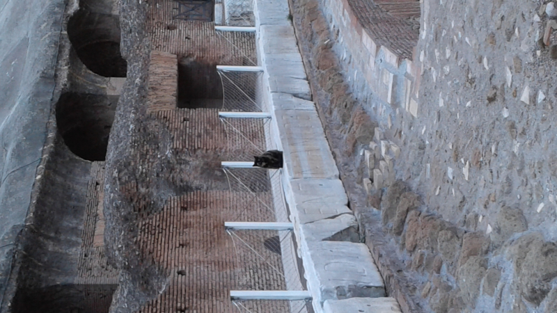 La mia vita. Римские записки, дневник онлайн