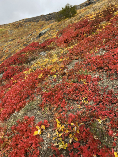 Осенняя Камчатка и заснеженный Горелый, 20-26.09.21