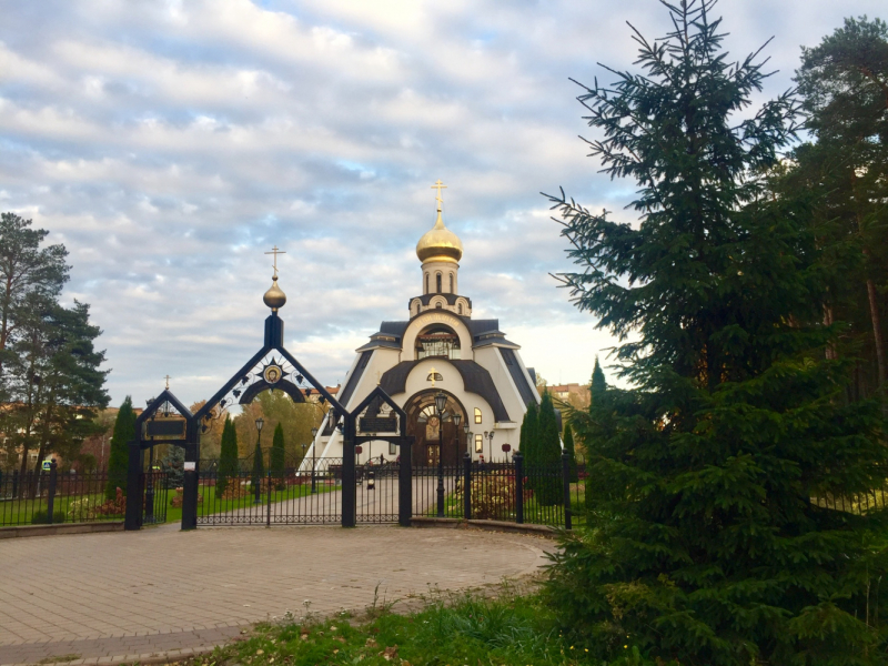 «Как я провёл этим летом» ©️ или неспешные прогулки по окрестностям Петербурга в ковидную годину