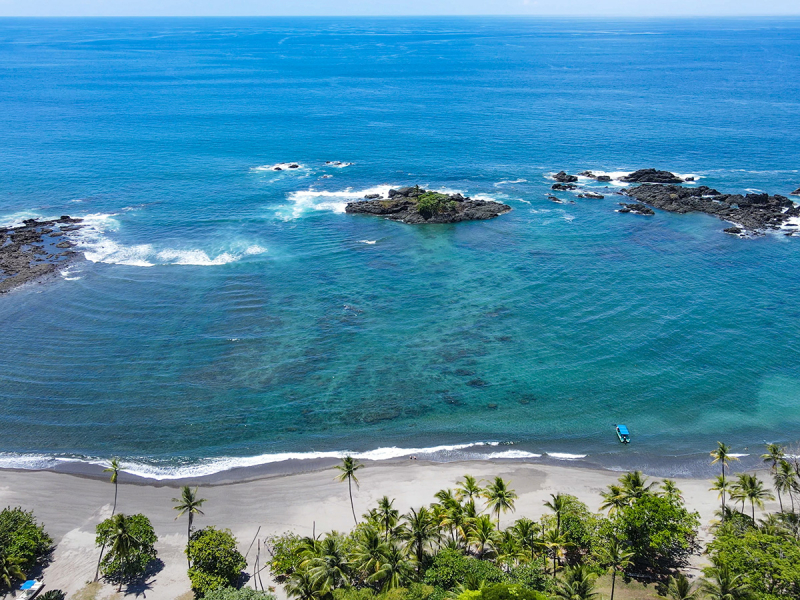 Коста-Рика март-апрель 2021. Национальные парки, пешеходные маршруты, пляжи