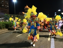 Бразильский карнавал в Сан-Паулу, в Рио-де-Жанейро и в Сальвадоре