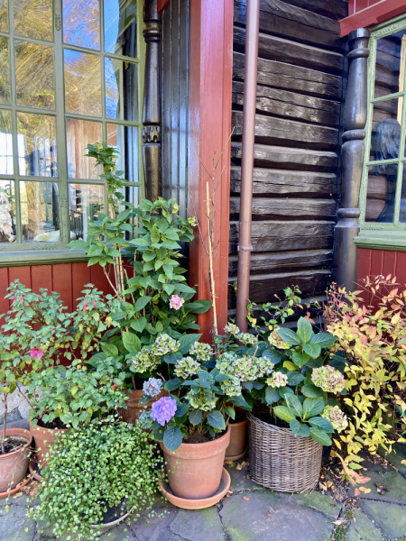 Пока мы ждем..