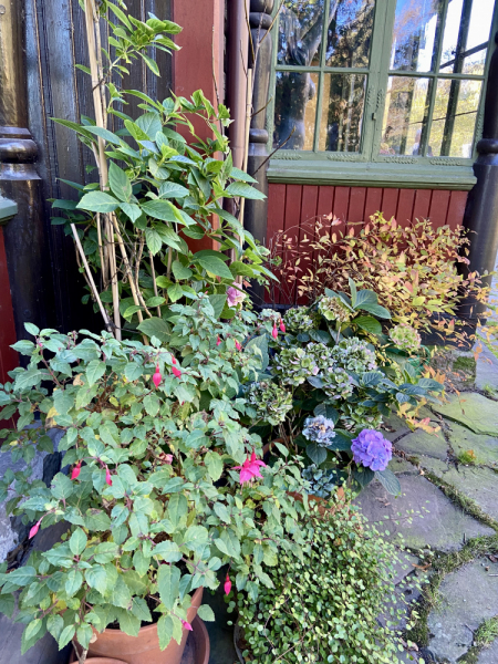 Пока мы ждем..