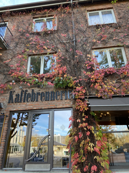 Пока мы ждем..