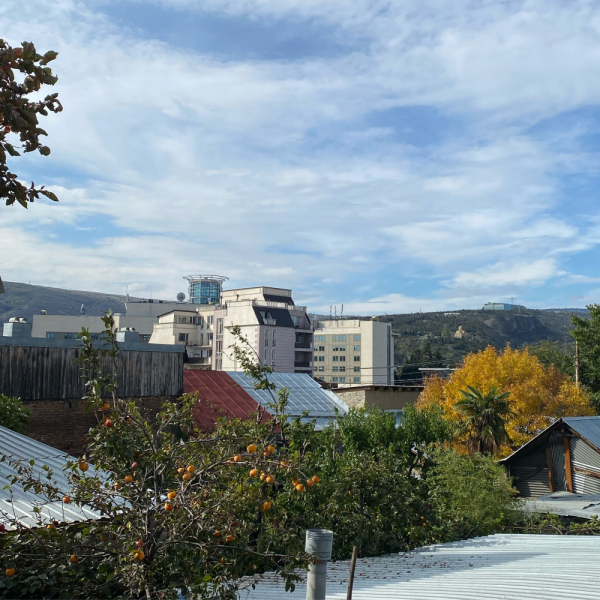 Октябрь 2021, Может Грузия и прекрасна, но я столько не пью или гамарджоба Вивиан