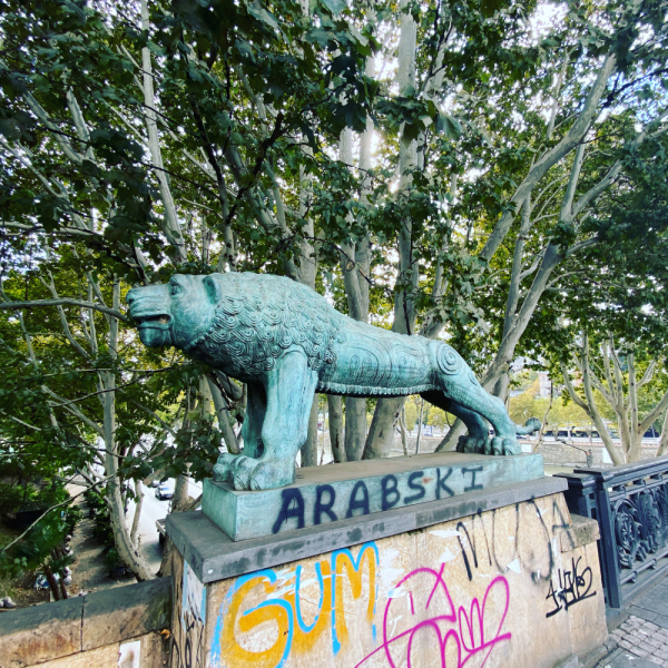 Октябрь 2021, Может Грузия и прекрасна, но я столько не пью или гамарджоба Вивиан