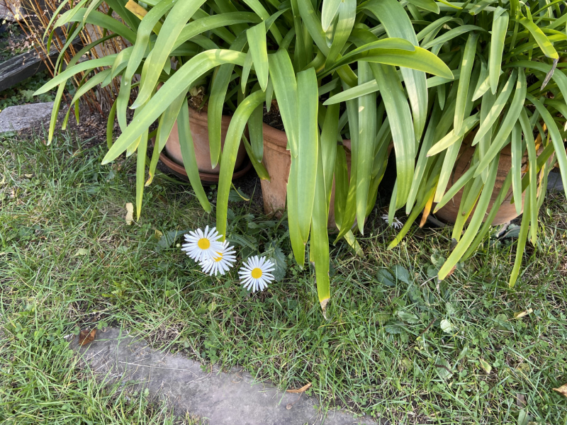 Пока мы ждем..