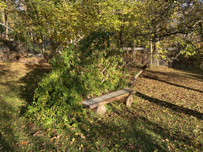 Пока мы ждем..