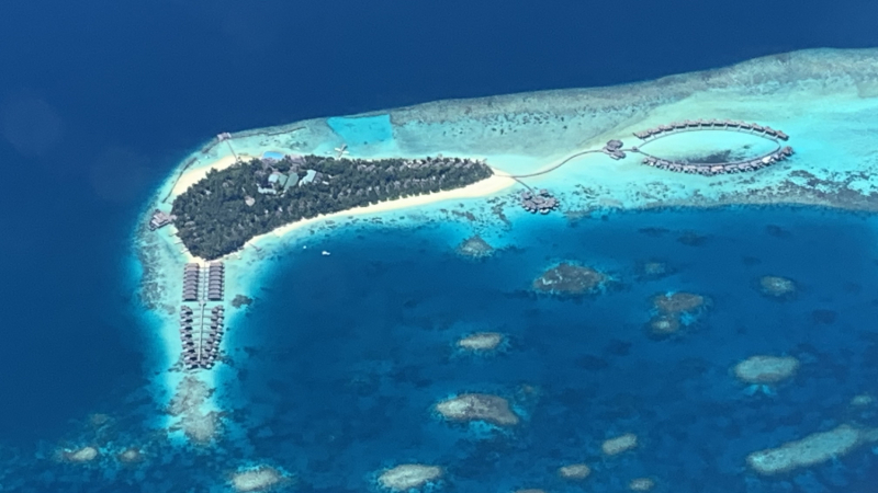 Cora Cora Maldives октябрь - ноябрь 2021