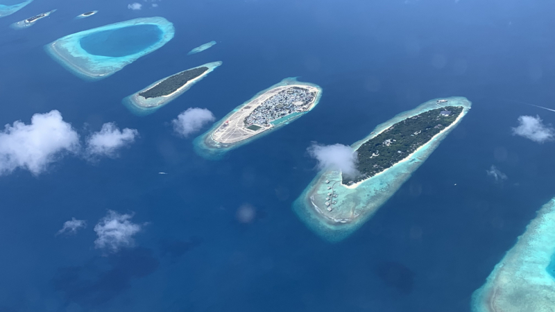 Cora Cora Maldives октябрь - ноябрь 2021