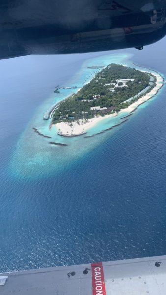 Cora Cora Maldives октябрь - ноябрь 2021