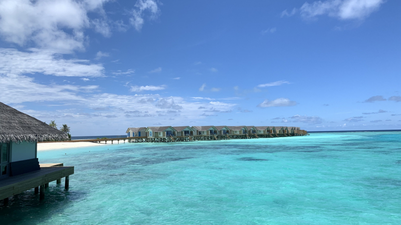 Cora Cora Maldives октябрь - ноябрь 2021