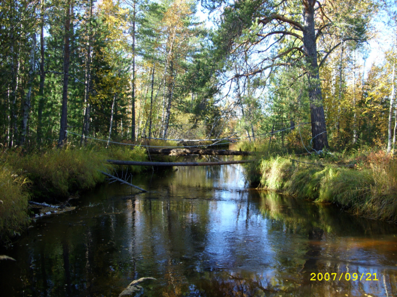 Фотографии мостов со всего мира