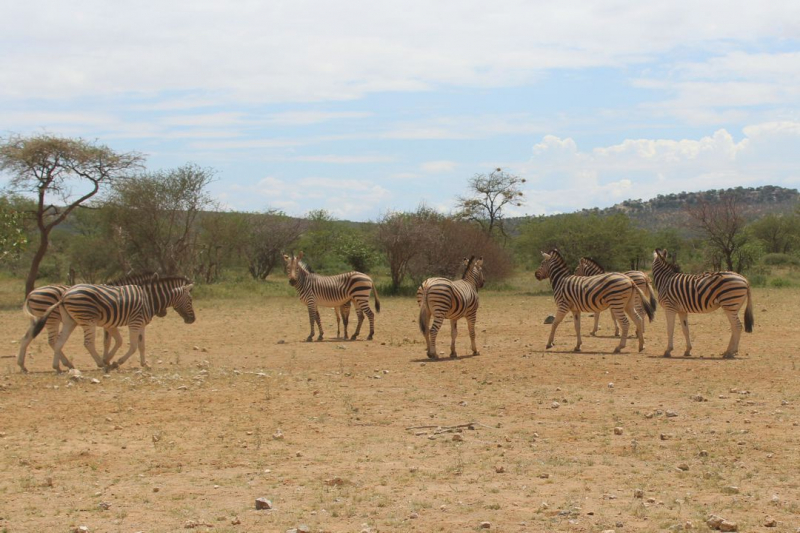 Enjoy Namibia или Намибия в ковидные времена (март 2021 г.)