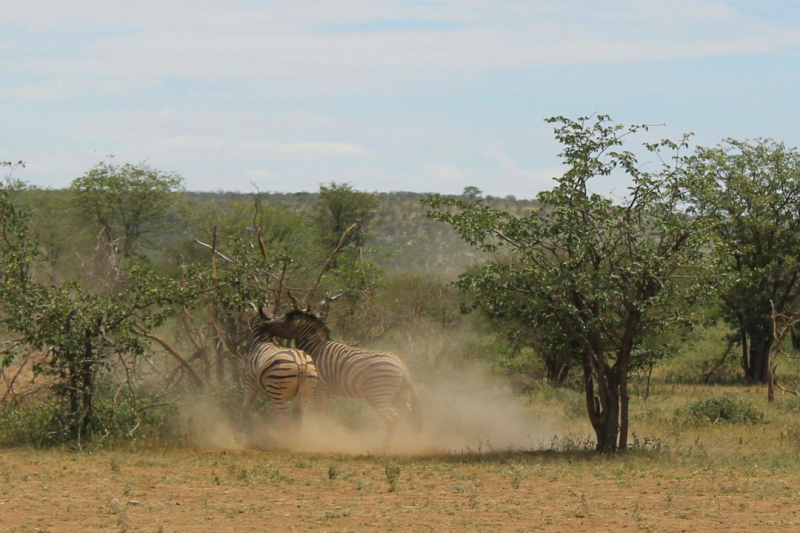 Enjoy Namibia или Намибия в ковидные времена (март 2021 г.)