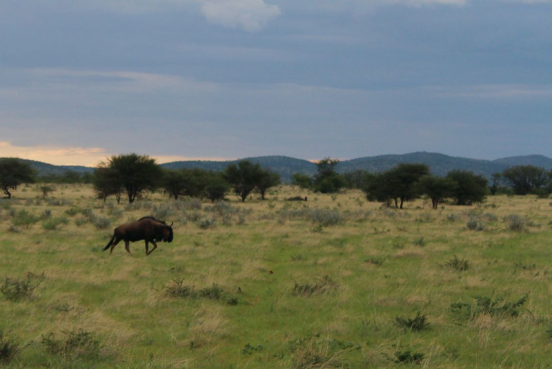 Enjoy Namibia или Намибия в ковидные времена (март 2021 г.)