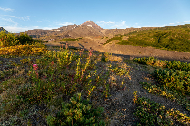 Жаркие объятия Камчатки: 4 вулкана и кое-что ещё за 2 недели в августе 2021