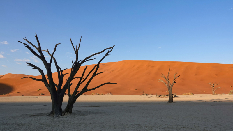 Намибия однажды осенью: по гребню дюн, по кромке океана...