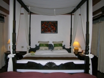 2008 панвимен