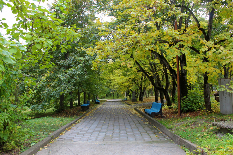 Железноводск. Госпитальный  терренкур