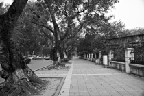 Хэллоу БаБай или Декабрьский Вьетнам (2011), Фото Траффик