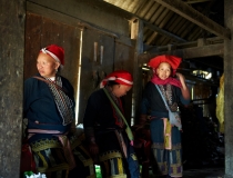 Хэллоу БаБай или Декабрьский Вьетнам (2011), Фото Траффик