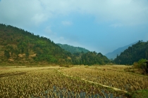 Хэллоу БаБай или Декабрьский Вьетнам (2011), Фото Траффик